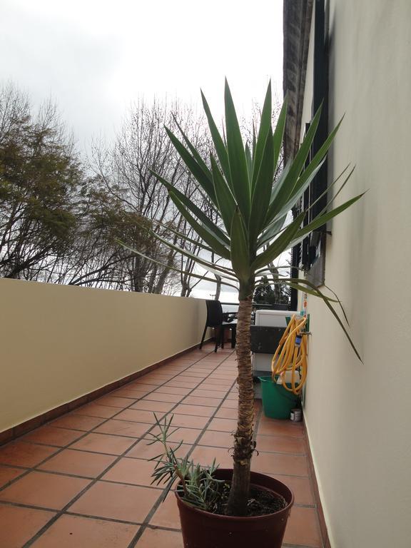 Apartment Alameda With Sea View Machico  Eksteriør billede